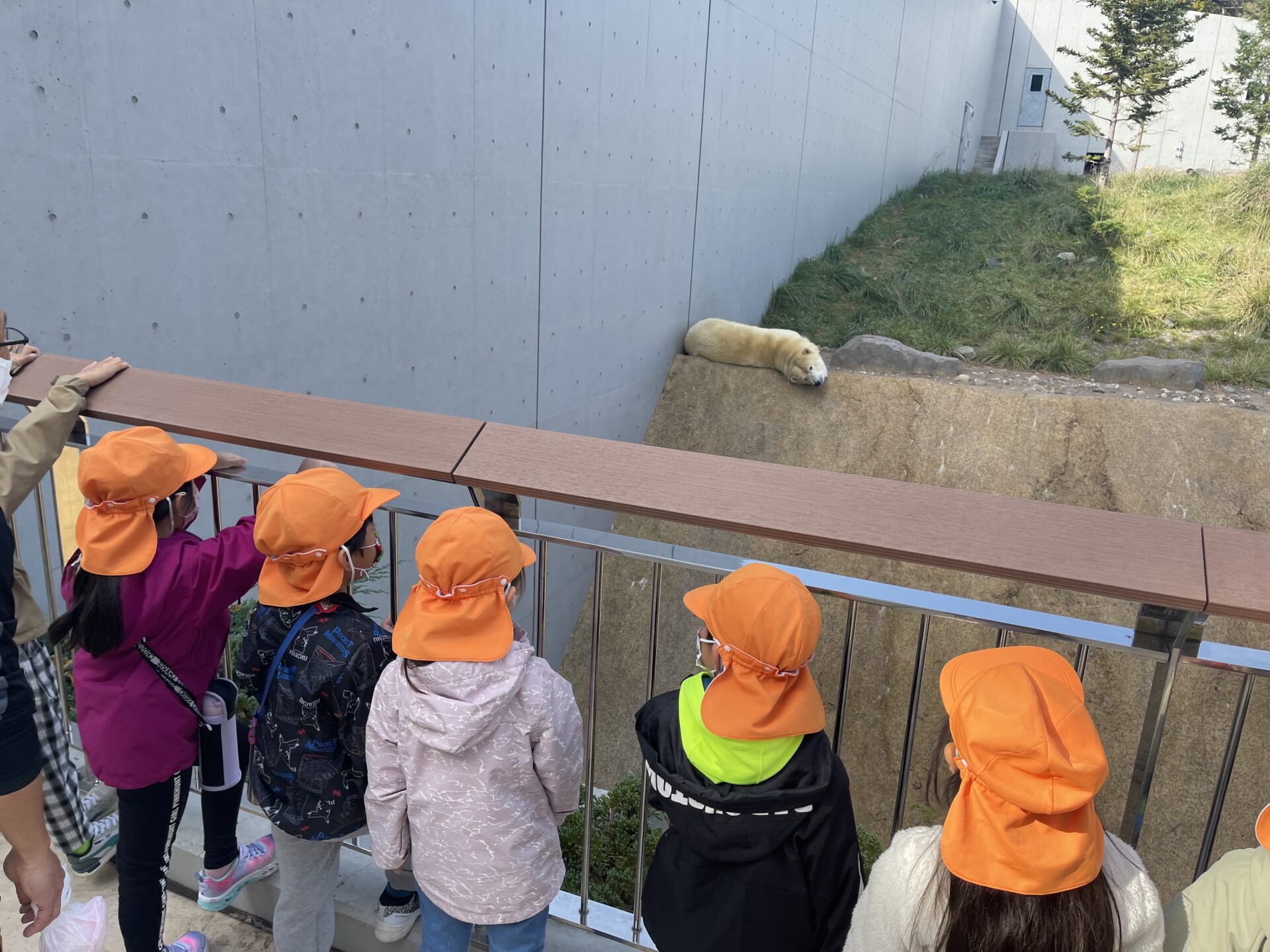 ひまわり組　円山動物園遠足👣