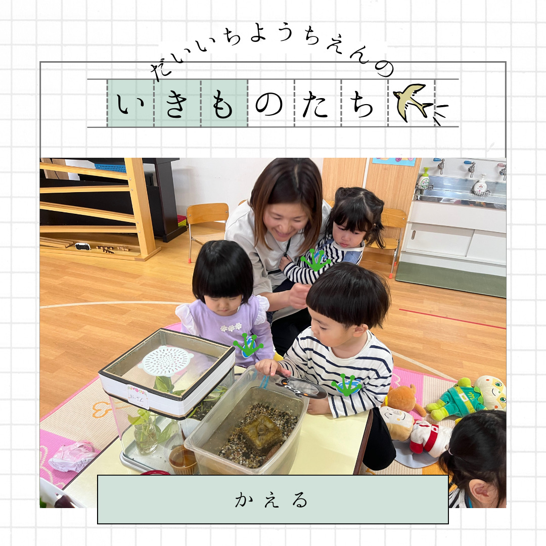 札幌第一幼稚園のいきものたち